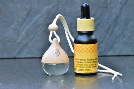 Diffuseurs pour voiture - Foufounes sous la douche